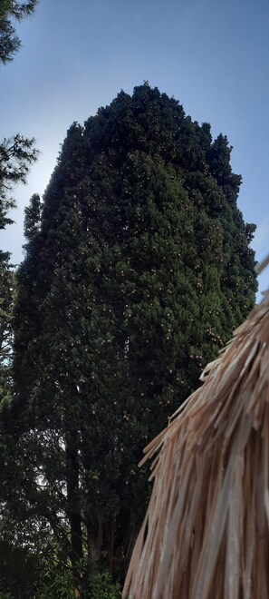 2 chambres, fer et planche à repasser