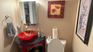 Secadora de cabello, toallas, jabón, papel de baño