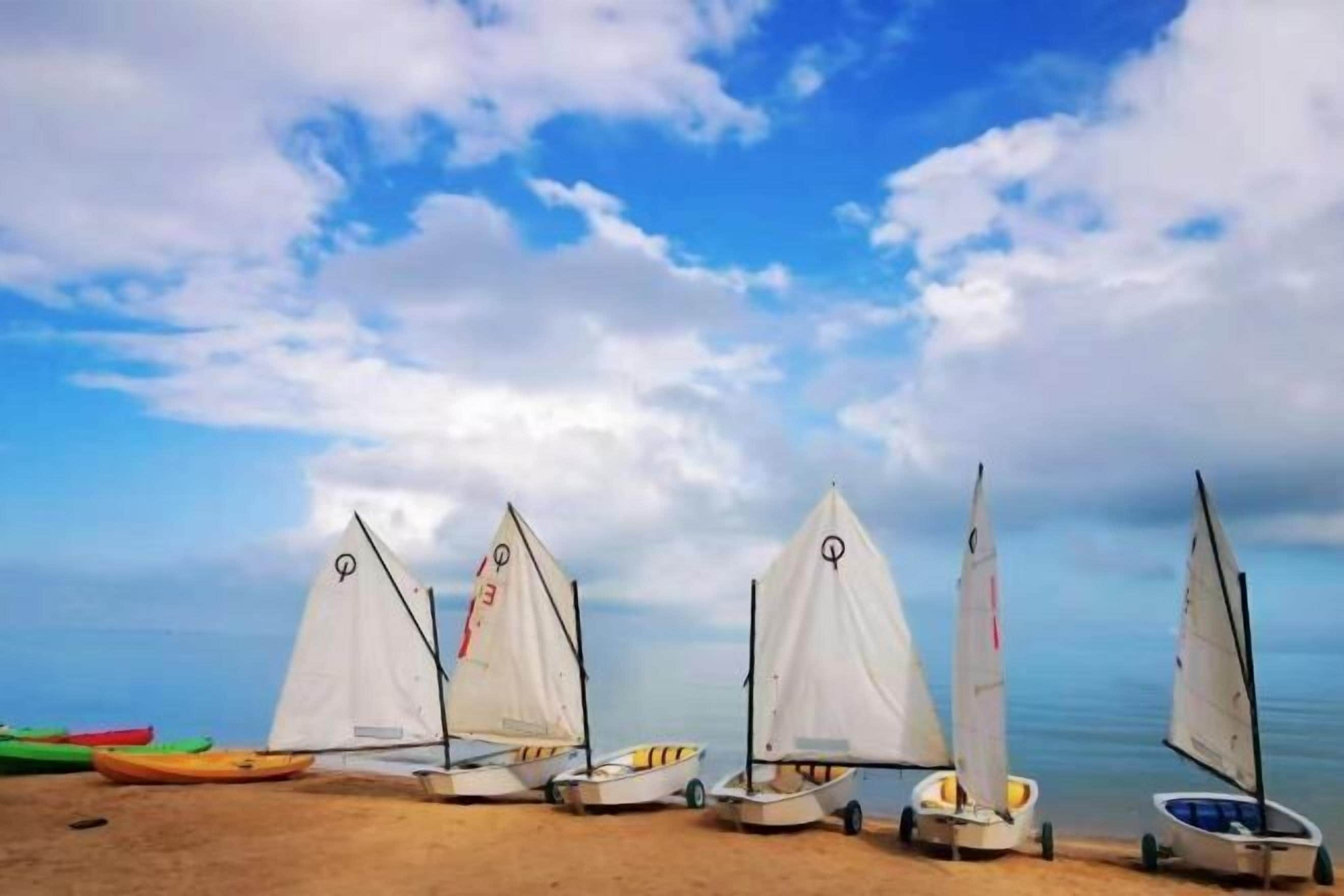 A row of small sailboats on a sandy beach with a clear sky.