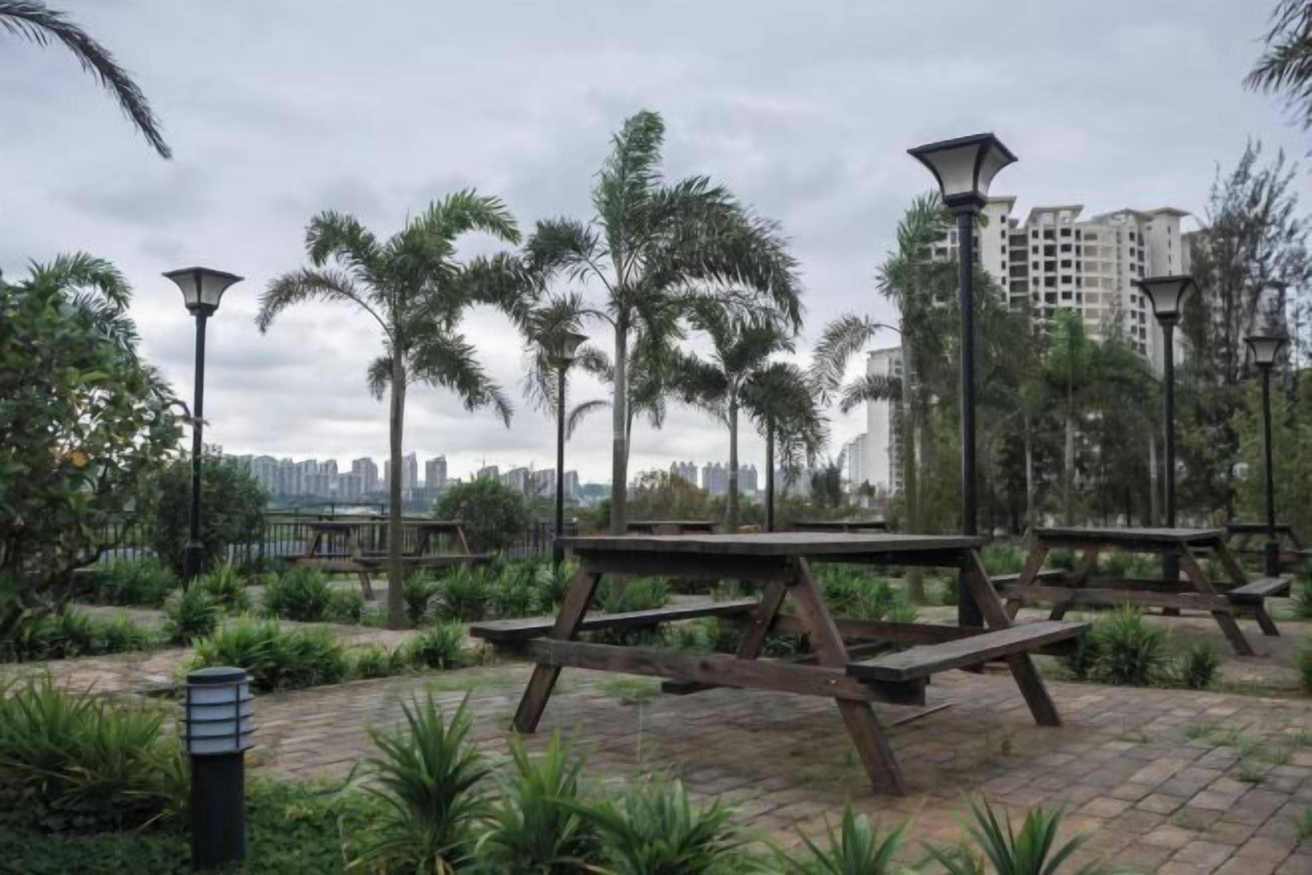 A park with picnic tables and street lamps, surrounded by palm trees and greenery, with a cityscape in the background.