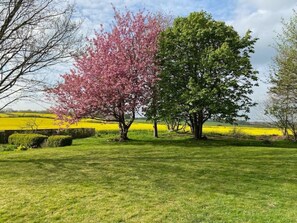 المنطقة المحيطة بالمنشأة