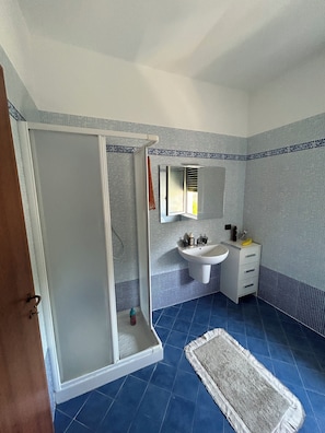 Shower, bidet, towels, toilet paper