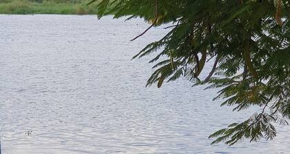 Waters Edge Liwonde