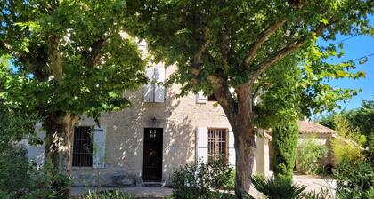 Mas du 17e siÚcle à 10 minutes d'Avignon, grand jardin méditerrannéen