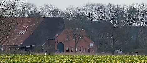 Udendørsområde