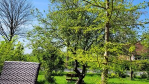 A garden with a wicker chair, a wooden bench, and a tree with green leaves.