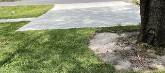 Twin Oaks Cottage in charming downtown St. Marys, walking distance to waterfront