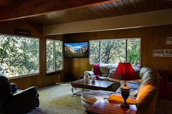 Smart TV, chimenea, libros, impresora