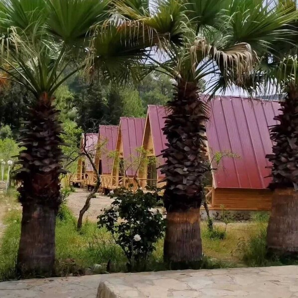 منطقة المعيشة