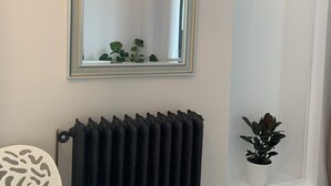Une pièce avec un radiateur, une plante en pot et un miroir au mur.