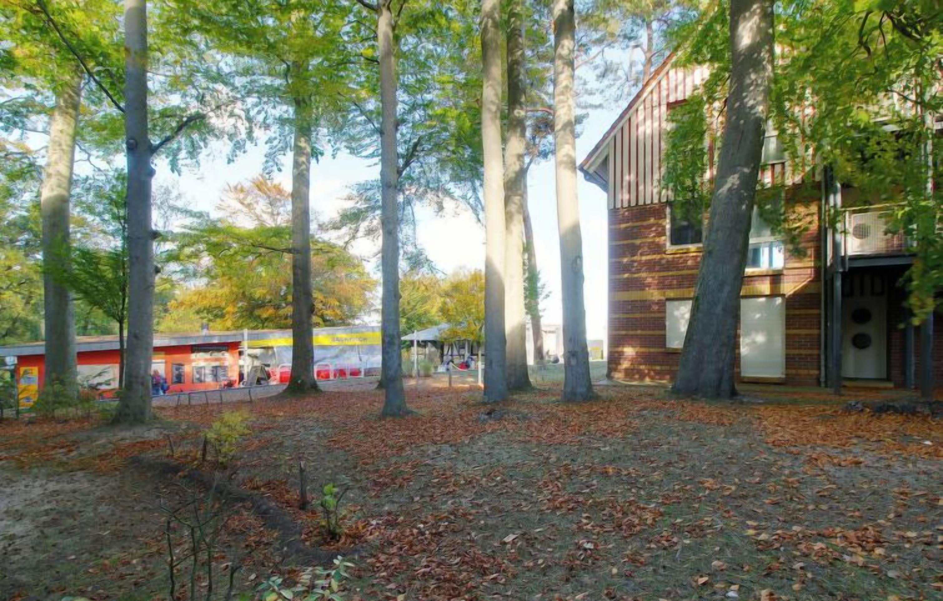 A view of a terraced outdoor area with trees and a building in the background.