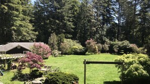 Un jardin agrémenté d’une pergola en bois, d’une pelouse et de divers arbustes et arbres.