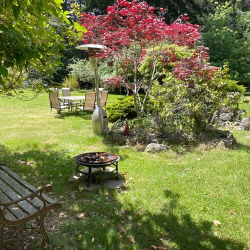 Cottage Hideaway in the Redwoods—Less Than One Mile from the Ocean