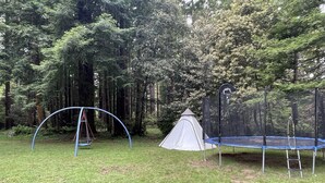 Un espace herbeux avec une balançoire, un trampoline et une tente.