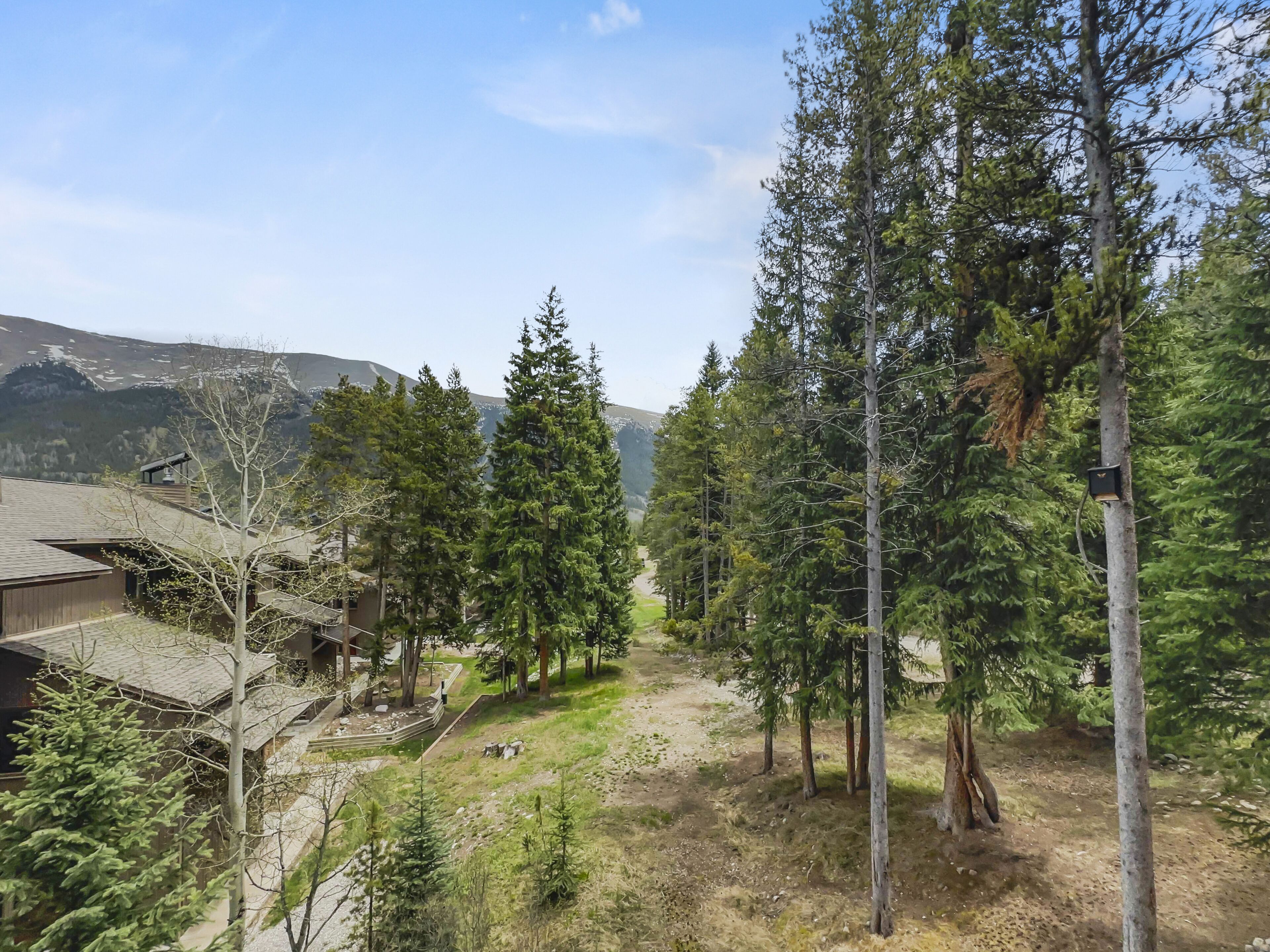 A forested area with tall trees and a building with a sloped roof.