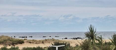 Playa