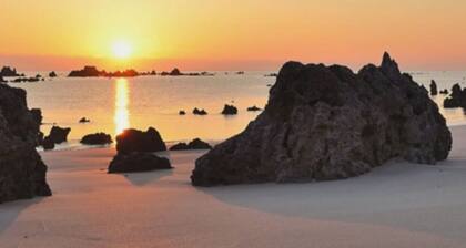 Coqueto apto en primera línea - Los Campizos 6619