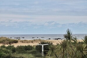 Playa