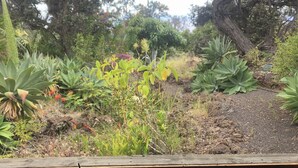 A room with a view of a garden. There is a table with a laptop, a book, and some papers. - A little piece of paradise in Ocean View with a view guesthouse! (OCEAN VIEW)