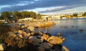 Uferlandschaft mit großen Felsen, Enten und einer entfernten Skyline.