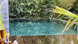 A clear pool with a concrete edge, surrounded by lush greenery. - Villa Canopée 6P - Piscine Chauffée/fibre/clim (Gujan-Mestras)
