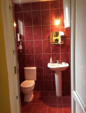 A bathroom with a toilet, sink, and mirror.
