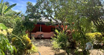 Coconut Leaf Shadow Hotel