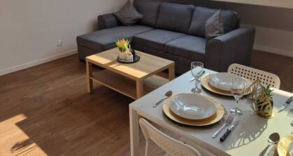 appartement Ă 20 mn Paris St Lazare/Stade de France