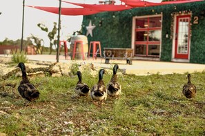 Activités pour enfants