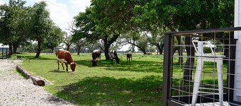 Best Fredericksburg Bed & Breakfast