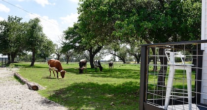 Best Fredericksburg Bed & Breakfast