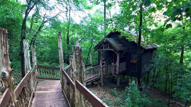 Un pont en bois menant à un chalet rustique situé dans une forêt.