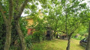 Una casa rodeada de exuberante follaje y árboles.