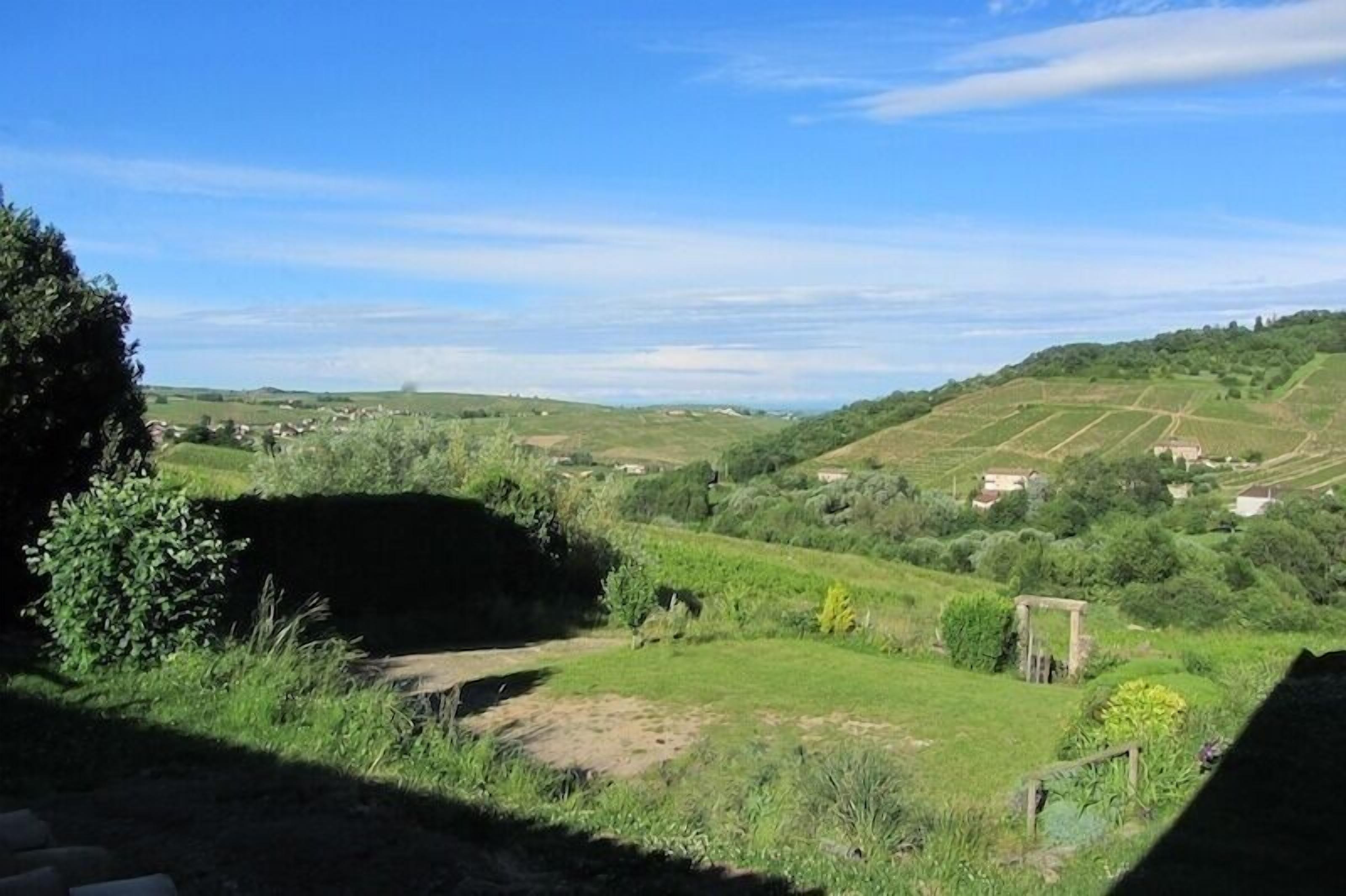 Grand Gîte "Le Nid Beaujolais" à Quincié-en-Beaujolais, dans le Rhône - Beaujolais : vue sur le vignoble.