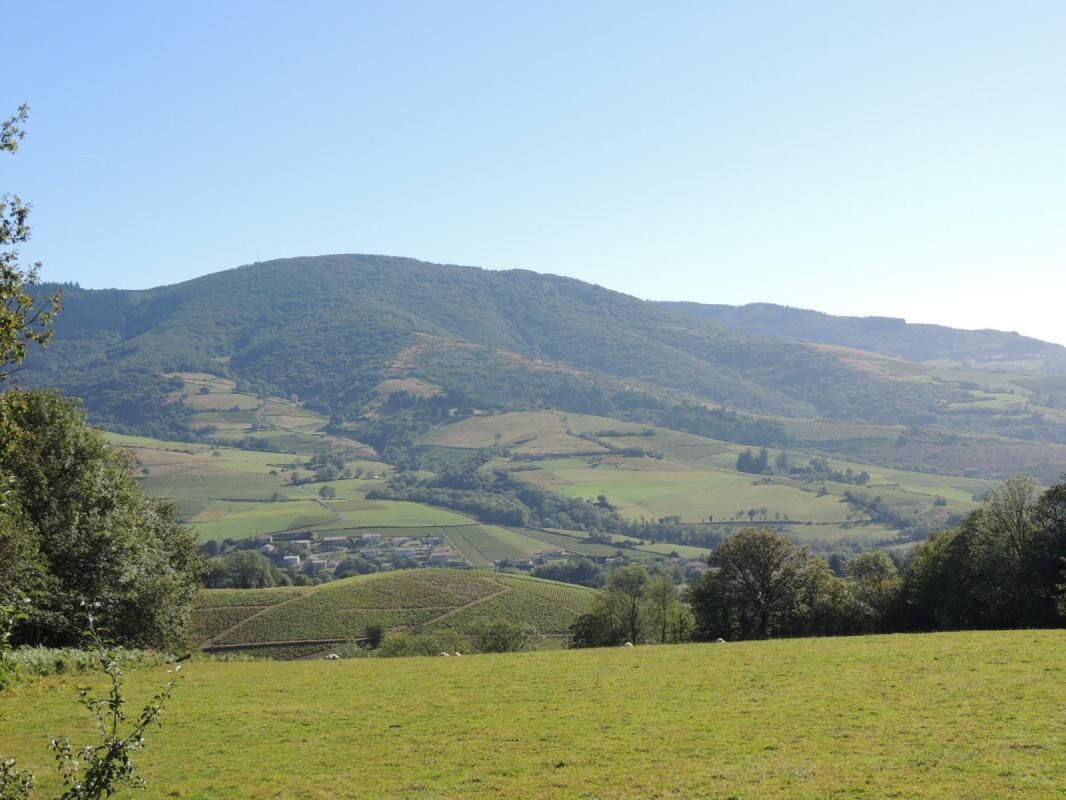 Ulkopuoli
