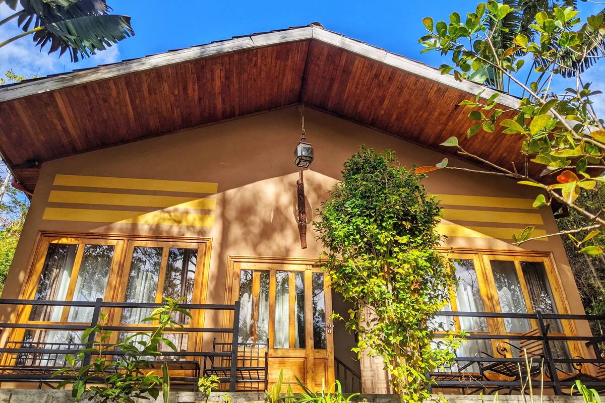 A wooden house with a sloped roof, large windows, and a hanging light fixture.