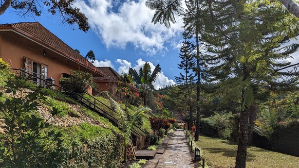 A stone pathway leading to a house with a tiled roof, surrounded by lush greenery and trees. - Andasibe Cyperus Hotel (Andasibe)
