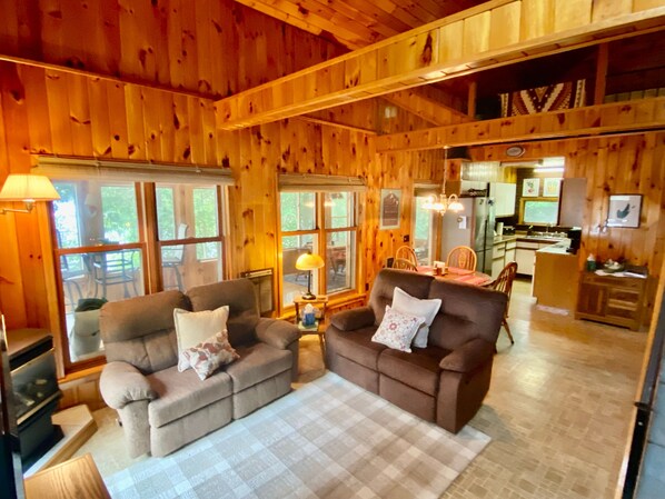 TV, fireplace, books, music library