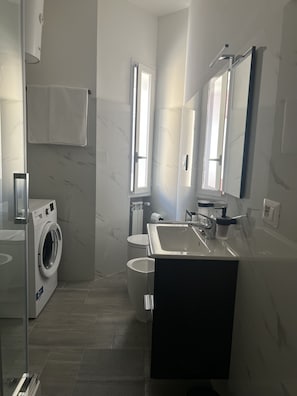 Shower, hair dryer, bidet, towels