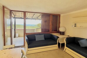 Televisión y chimenea 