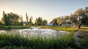 Un cadre extérieur paisible, avec un étang, de la verdure et une maison en arrière-plan.