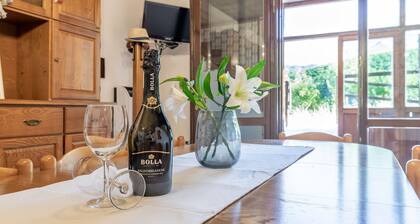 Beautiful private villa for 8 guests with WIFI, TV, balcony, pets allowed and panoramic view