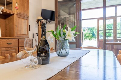 Stunning private villa for 8 people with WIFI, TV, balcony, pets allowed and panoramic view
