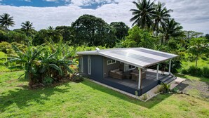 A modern house with a covered porch, surrounded by lush greenery and palm trees.