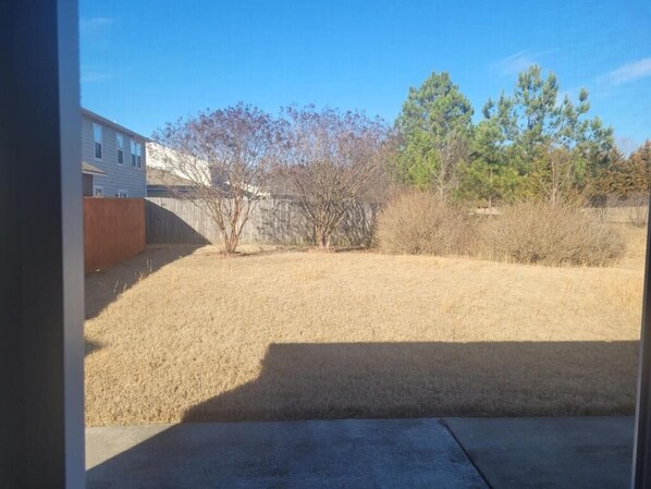 Backyard with a sloped terrain, surrounded by a fence and trees, including an evergreen and a deciduous tree.
