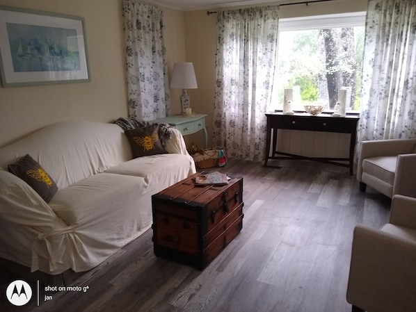 Smart TV, fireplace, DVD player, books