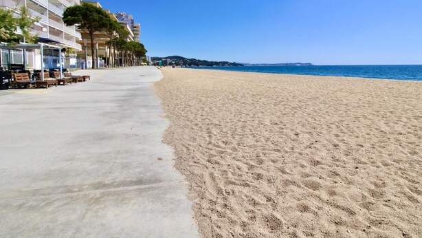 Una spiaggia con una passeggiata in cemento, palme e un albergo sullo sfondo.
