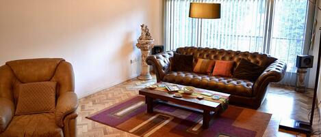 Älytelevisio, DVD-soitin, kirjoja, stereot