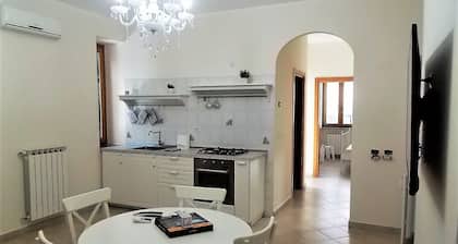 The Orange Garden in the village of Pisciotta