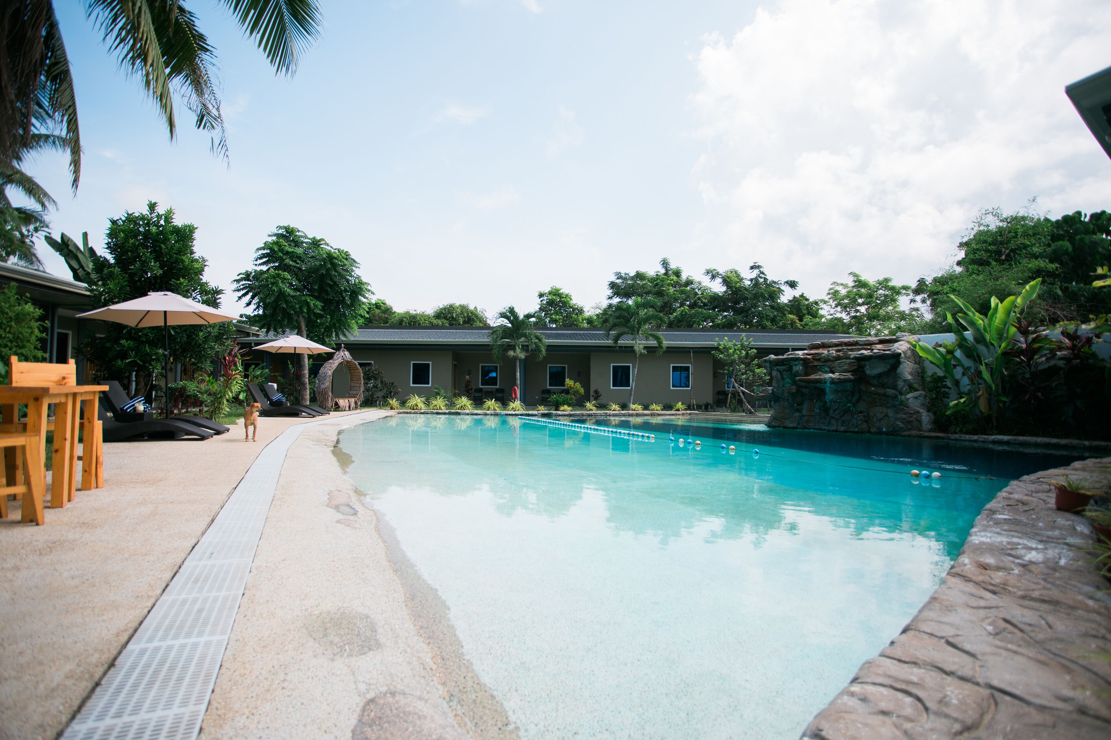 A swimming pool with lounge chairs and umbrellas, surrounded by greenery and a building with windows.
